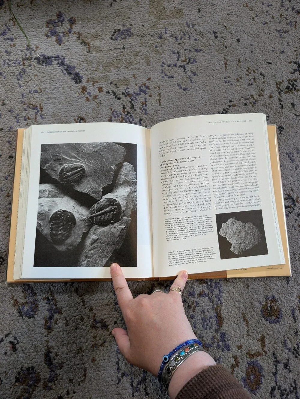 Charles Darwin - The Illustrated Origin of Species - Hardcover Edition 1979‎